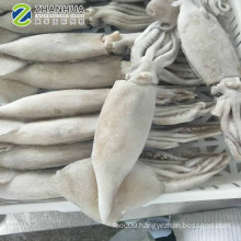 Frozen Bait Calamari Squid U100g